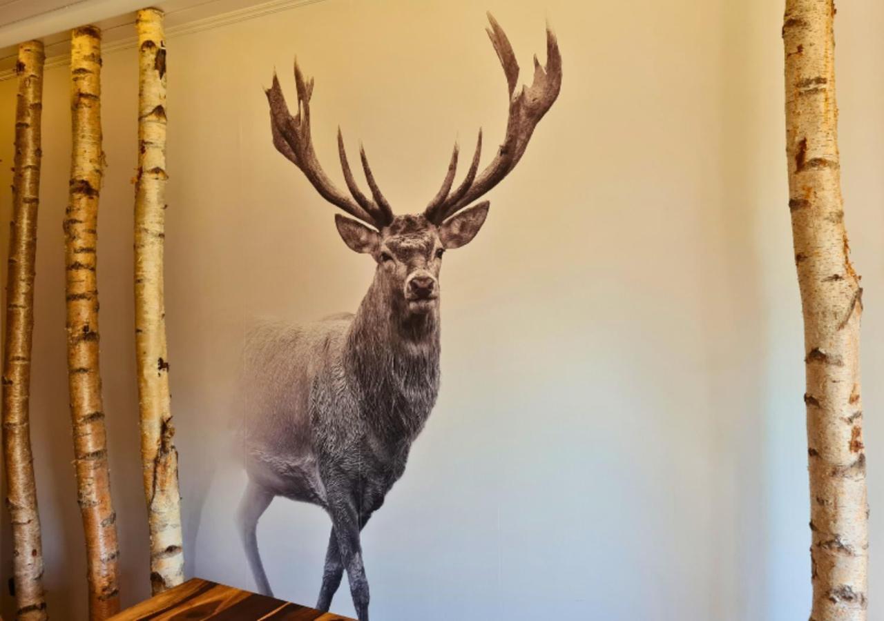 Hotel Harzresidenz Thale Kültér fotó